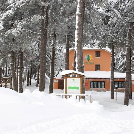 Bed and Breakfast La Pinetina San Massimo  Esterno foto