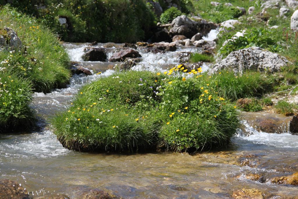 Bed and Breakfast La Pinetina San Massimo  Esterno foto