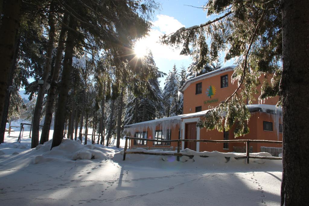 Bed and Breakfast La Pinetina San Massimo  Esterno foto